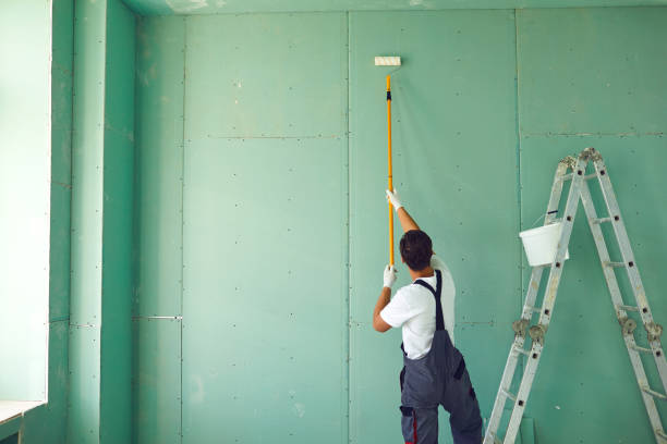 Environmental Consulting for Mold Prevention in Gainesville, GA