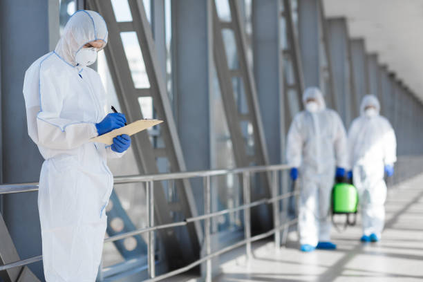 Best Environmental Consulting for Mold Prevention  in Inesville, GA