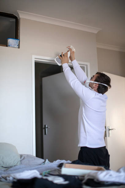 Best Attic Mold Removal  in Inesville, GA