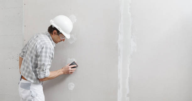 Best Real Estate Mold Inspection  in Inesville, GA