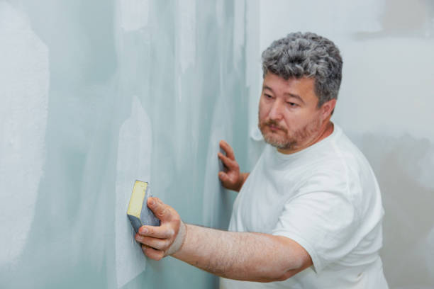 Best Water Damage & Mold Remediation  in Inesville, GA