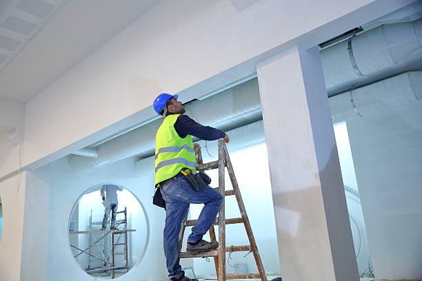 Best Air Quality Testing for Mold Spores  in Inesville, GA