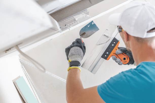 Best Mold Prevention Services  in Inesville, GA